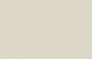 SDR 1 001/2 Shade 2