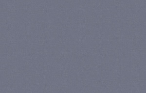 SDR 1 021 Shade 2